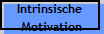 Intrinsische 
Motivation