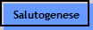Salutogenese