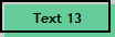 Text 13