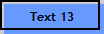 Text 13