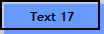 Text 17